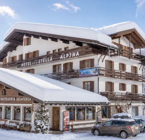 Stella Alpina